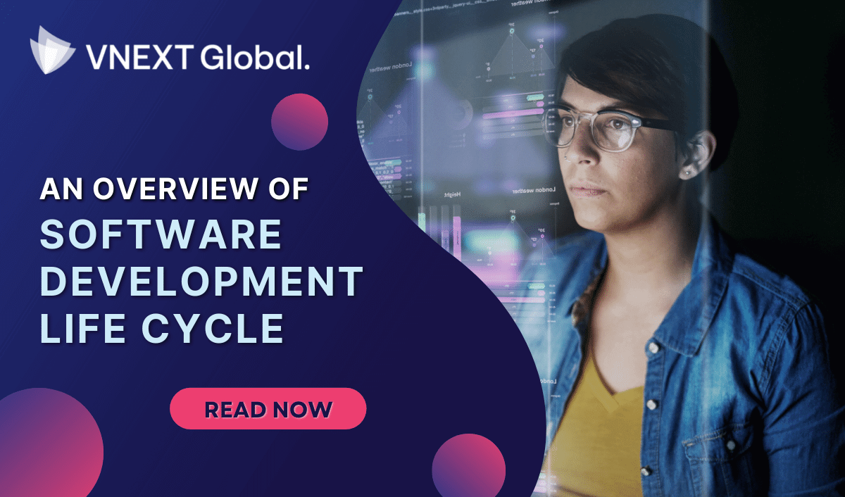 vnext global an overview of software development life cycle