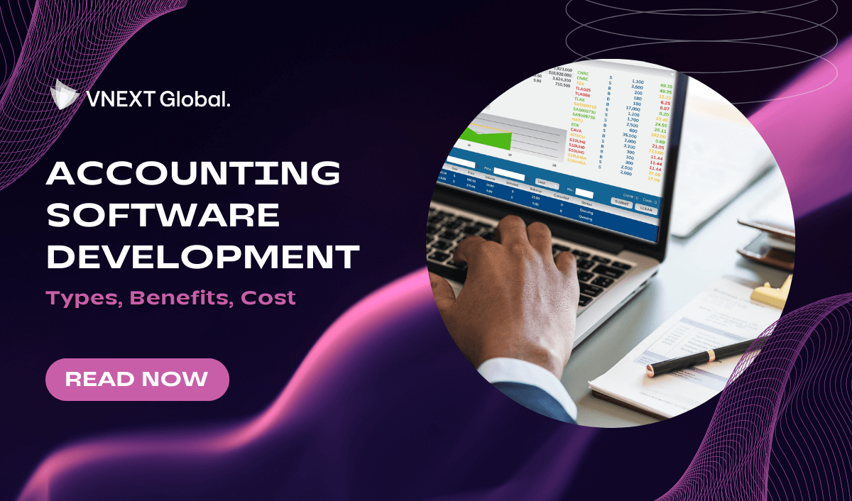 vnext global accounting software development types benefits cost