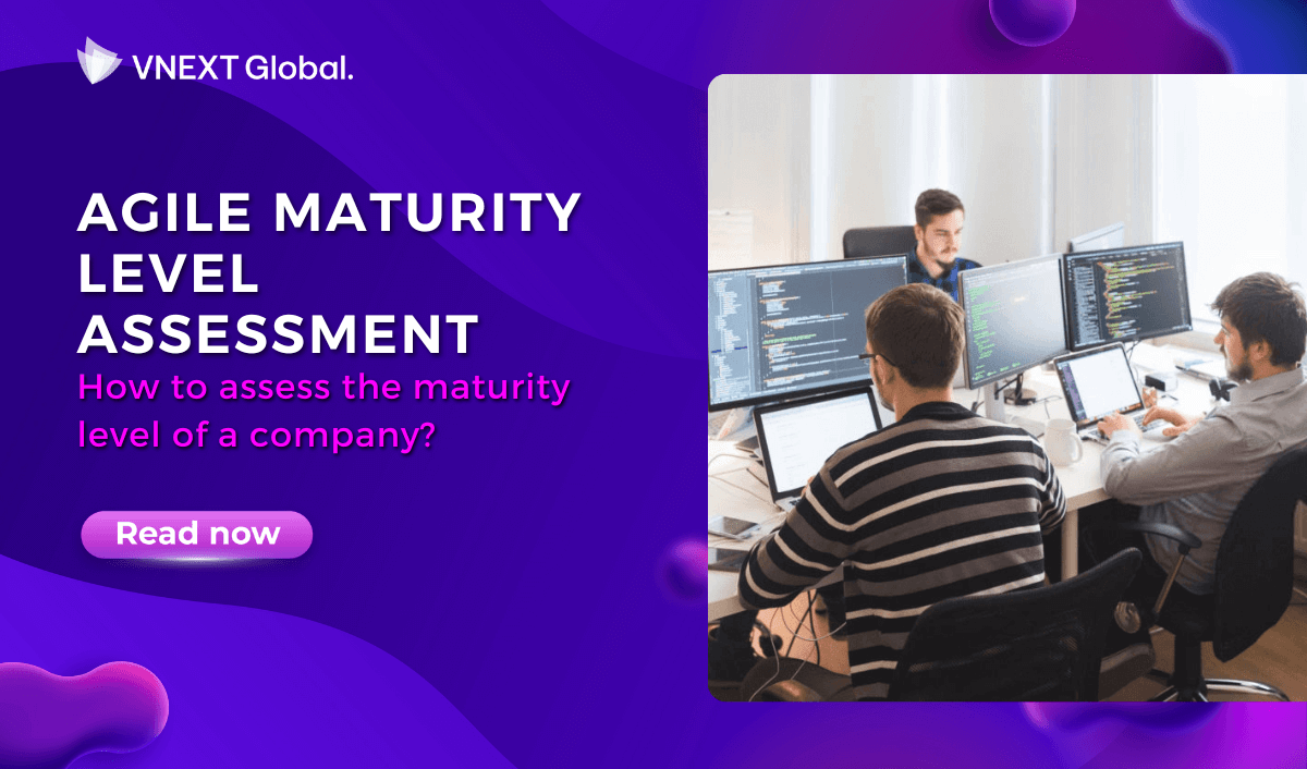 vnext global agile maturity level assessment how to assess the maturity level of a company
